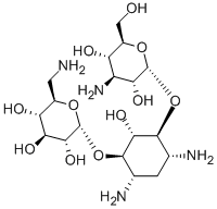 Kanamycin Structure