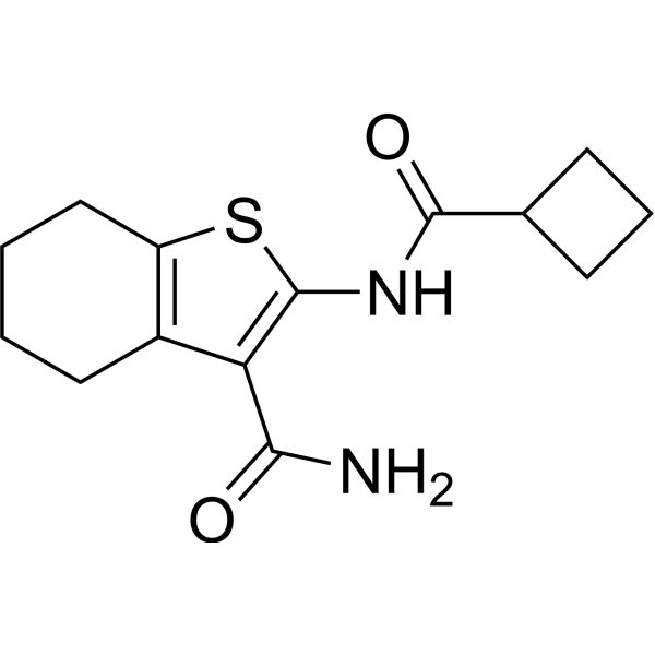 Protein kinase G inhibitor-2 Structure
