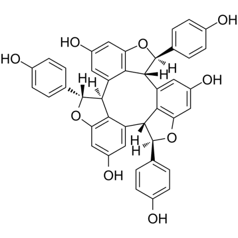 α-Viniferin Structure
