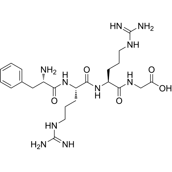 Phe-Arg-Arg-Gly Structure