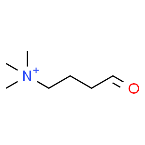 4-trimethylammoniobutanal  Structure