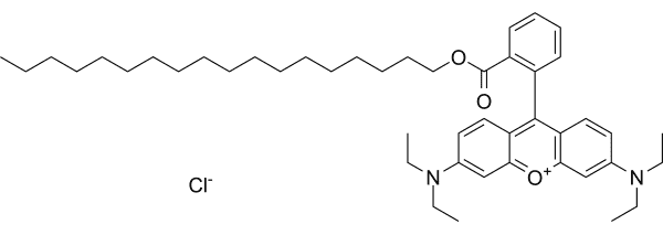 Octadecyl Rhodamine B chloride Structure