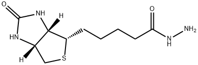 Biotin Hydrazide Structure