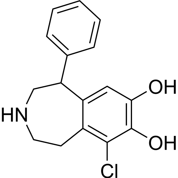 SKF 81297  Structure