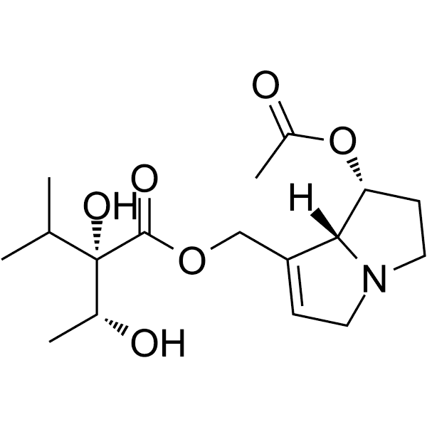 7-Acetylintermedine Structure