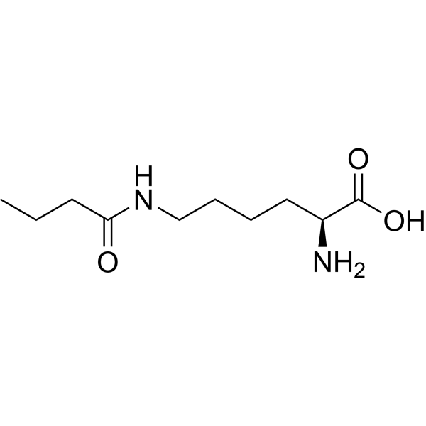 N6-Butyryl-L-lysine Structure