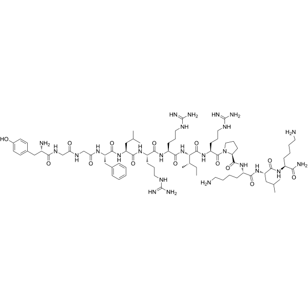 Dynorphin A (1-13) amide Structure