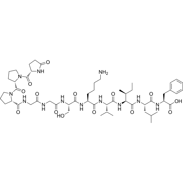 Head activator neuropeptide Structure