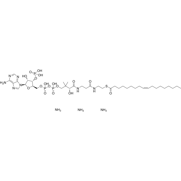 Oleoyl Coenzyme A triammonium Structure