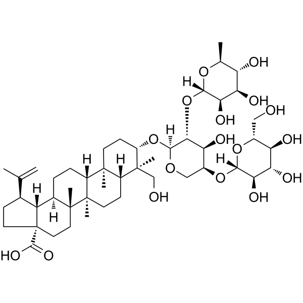 Lup-20(29)-en-28-oic acid Structure