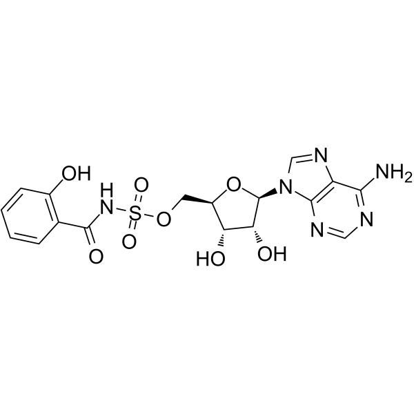 Salicyl-AMS Structure