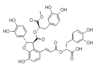 9-Methyl-lithospermate-B Structure
