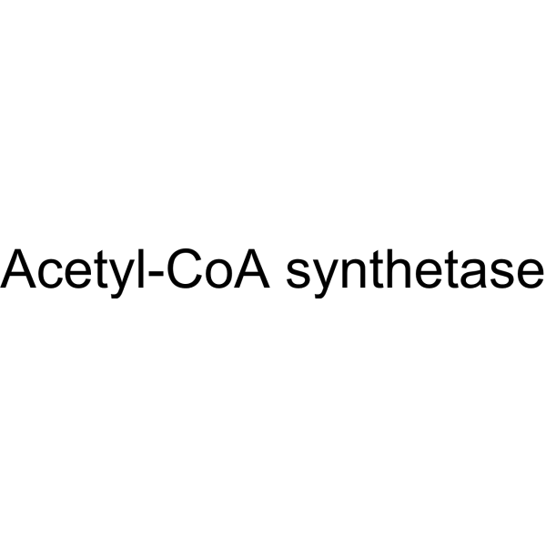 Acetyl-CoA synthetase Structure