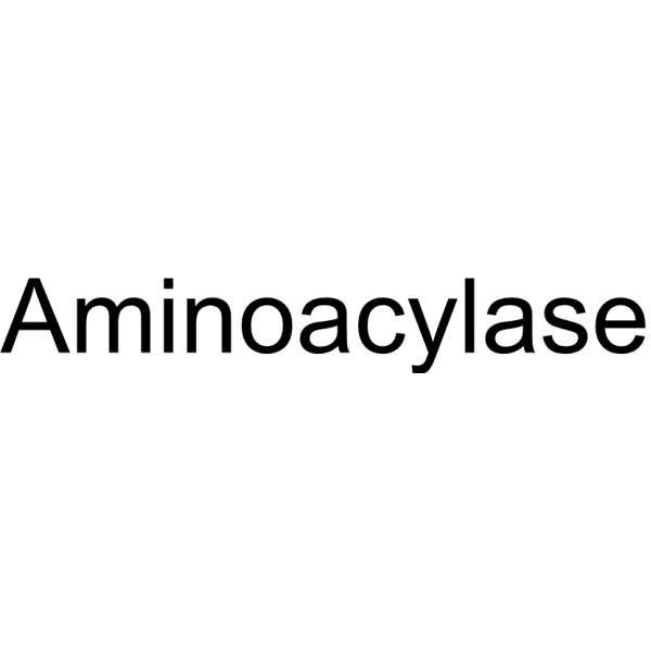 Aminoacylase Structure