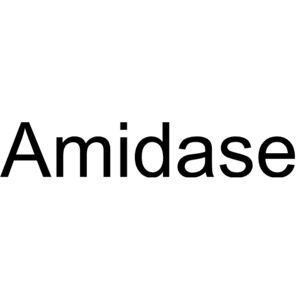 Amidase Structure