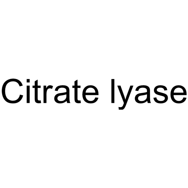 Citrate lyase Structure