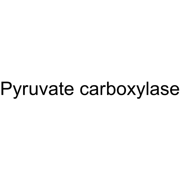 Pyruvate carboxylase Structure