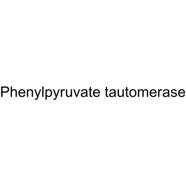 Phenylpyruvate tautomerase Structure