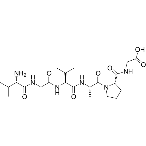 Chemotactic Domain of Elastin Structure