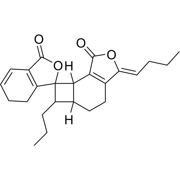 Angelicide Structure