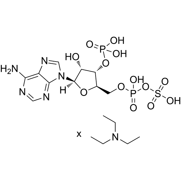 Adenosine 3'-phosphate 5'-phosphosulfate triethylamine  Structure
