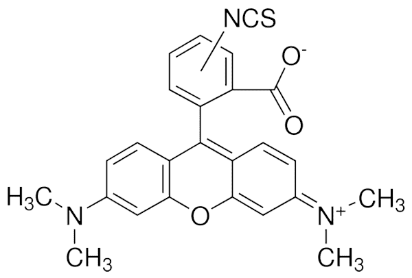 TRITC Structure