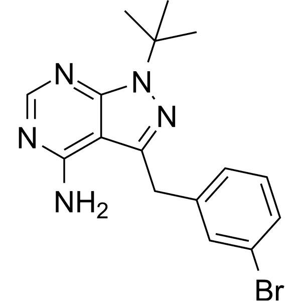 3BrB-PP1  Structure