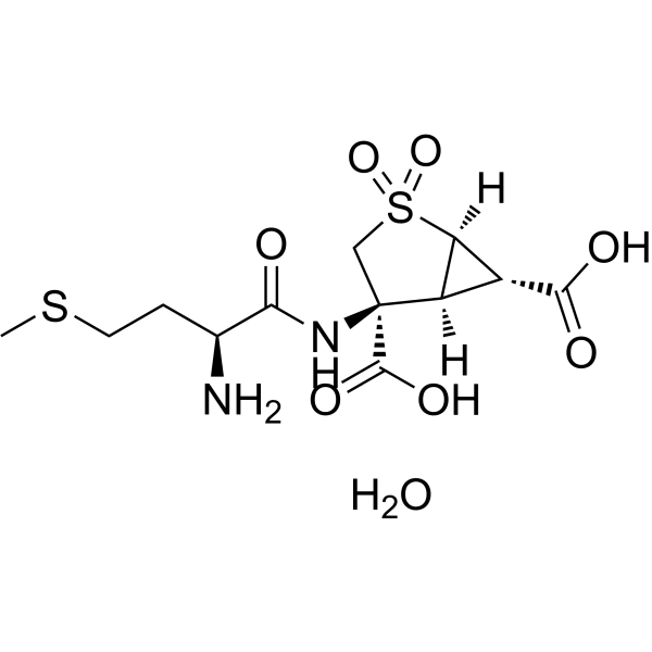 Pomaglumetad methionil Structure