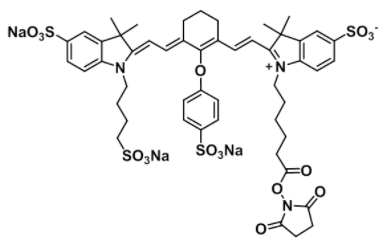 IRDye 800 NHS Structure