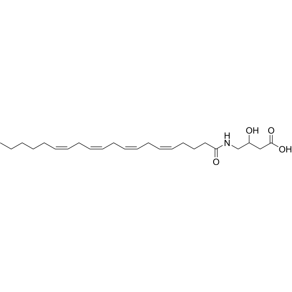N-Arachidonoyl-3-hydroxy-γ-aminobutyric acid Structure