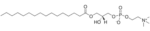 L-α-lysophosphatidylcholine (soybean) Structure