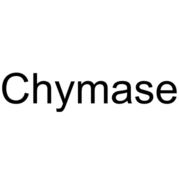 Chymase Structure