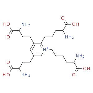 Isodesmosine  Structure