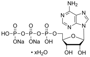 ATP disodium salt hydrate Structure