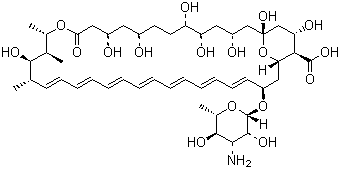 Amphotericin B Solubilized Structure