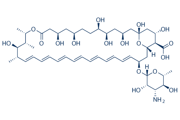 Amphotericin B Structure