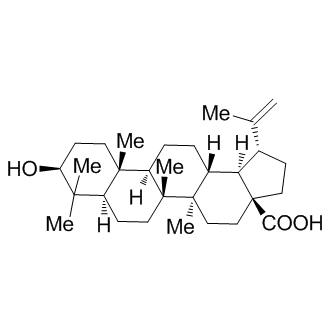 Betulinic acid Structure