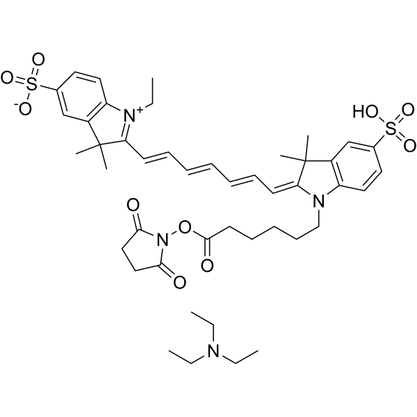 CY7-SE triethylamine Structure