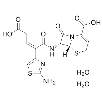 Ceftibuten dihydrate Structure