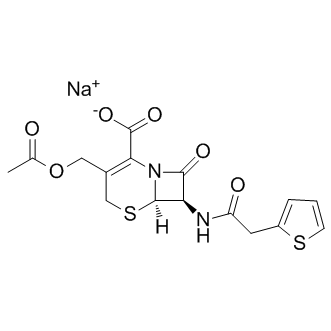 Cephalothin sodium Structure