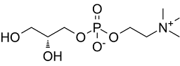 Choline Glycerophosphate Structure