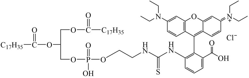 DSPE-Rhodamine Structure