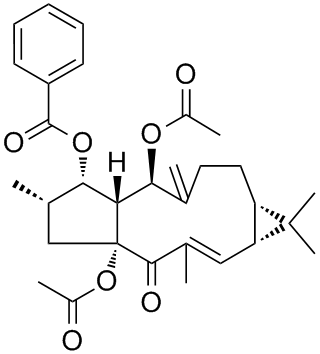 Euphorbia factor L3 Structure