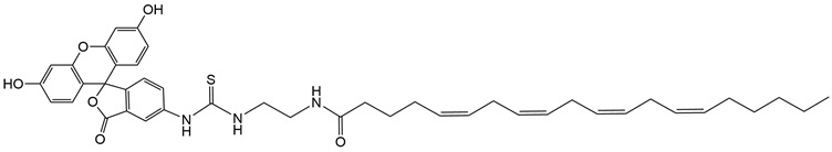 FITC-Arachidonic Acid Structure
