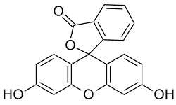 Fluorescein Structure