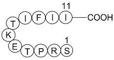 Gap 27 Structure