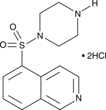HA-100 dihydrochloride Structure