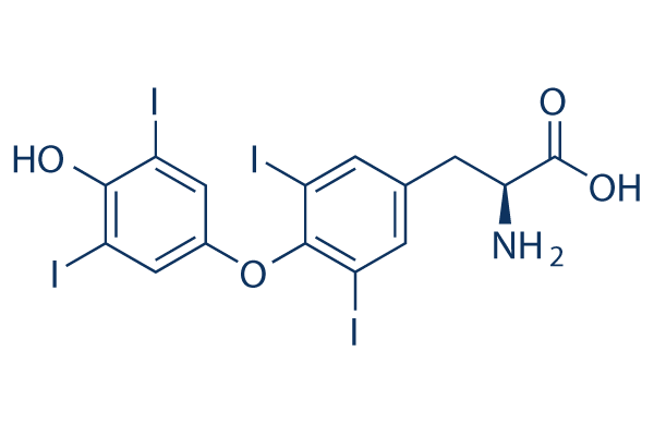 L-Thyroxine Structure