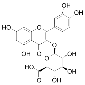 Miquelianin Structure
