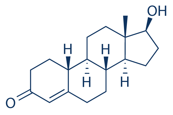 Nandrolone Structure